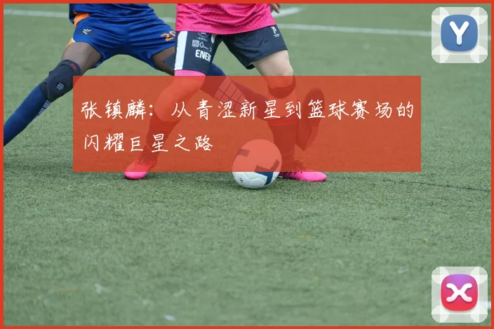 张镇麟：从青涩新星到篮球赛场的闪耀巨星之路