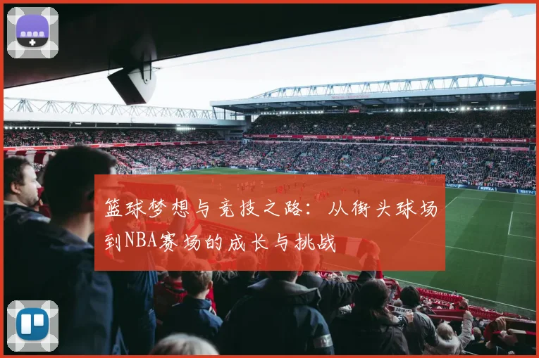 篮球梦想与竞技之路：从街头球场到NBA赛场的成长与挑战